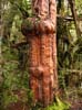 39_waitonga_falls_29_hk