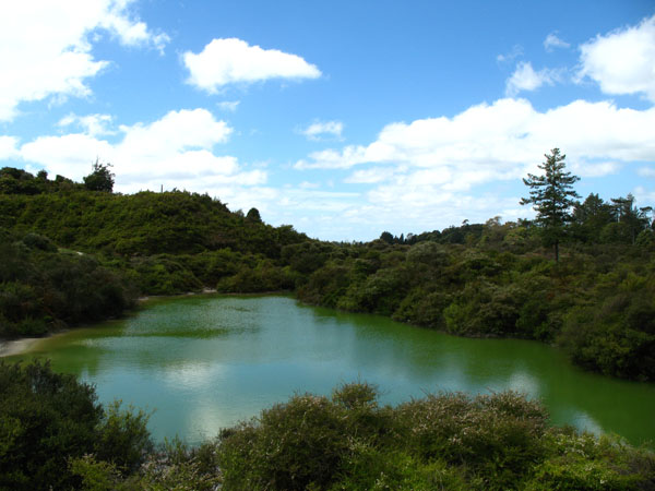 58_whakarewarewa_55_hk