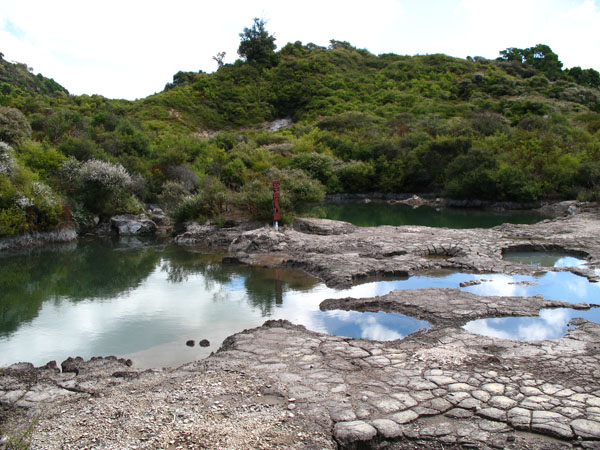 58_whakarewarewa_58_hk