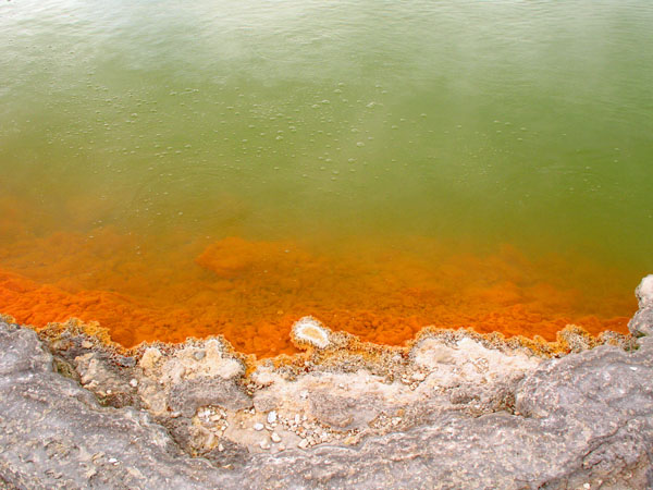 66_wai_o_tapu_021_hk