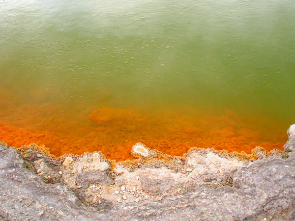 66_wai_o_tapu_021_hk