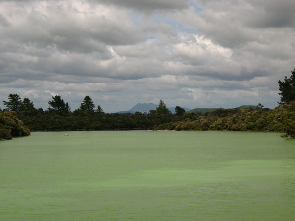 66_wai_o_tapu_075_hk