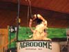 60_agrodome_farmshow_13_aj