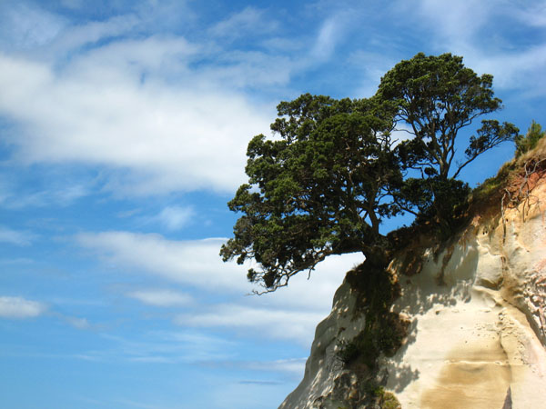 71_cathedral_cove_walkway_34