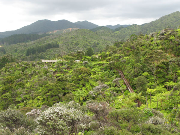 73_driving_creek_railway_44_hk