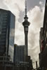 01_auckland_07.jpg (48,812 bytes)