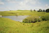 04_hobbiton_06.jpg (63,012 bytes)