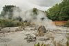 08_rotorua_08.jpg (80,277 bytes)