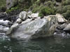 12_milford_sound_11.jpg (81,937 bytes)