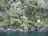 12_milford_sound_13.jpg (105,627 bytes)