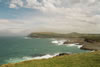 01_catlins_coast_01.jpg (47,798 bytes)