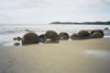 04_moeraki_boulders_02.jpg (36,479 bytes)