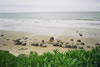 04_moeraki_boulders_06.jpg (53,191 bytes)