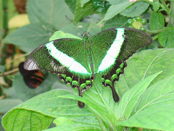05_london_zoo_15