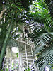 23_kew_gardens_05