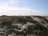 07_amrum_04.jpg (41,765 bytes)