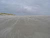 07_amrum_23.jpg (16,259 bytes)