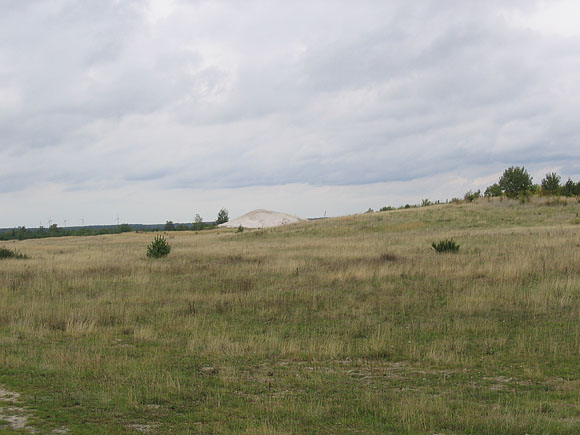 gruenhaus_2006_08