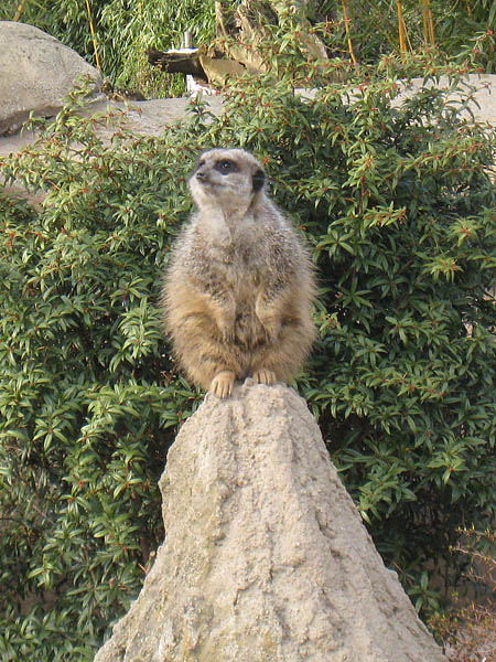 zoobesuch_leipzig_02