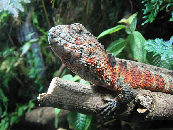 zoobesuch_leipzig_03
